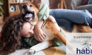 Why You Should Microchip Your Cat
