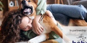 8 Dog Breeds for Cat People